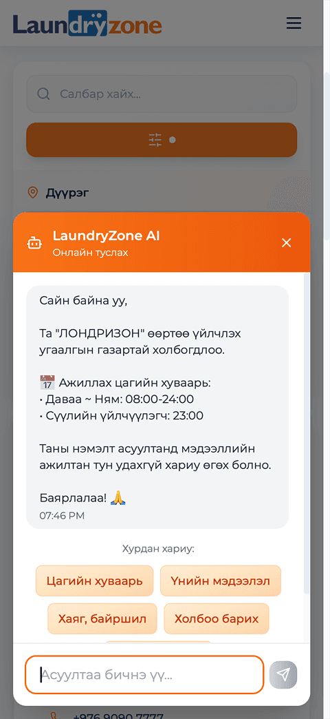 LaundryZone preview 6